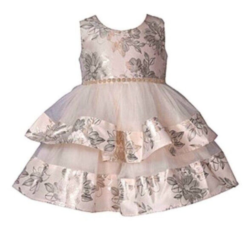 Bonnie Jean Toddler Girls Pink  Fit + Flare Fancy Dressy Party Dress 2T